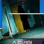 Стример Постер