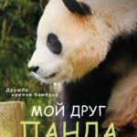 Мой Друг Панда Постер