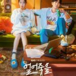 Ледяной Роман / Любовь Для Слабаков Постер